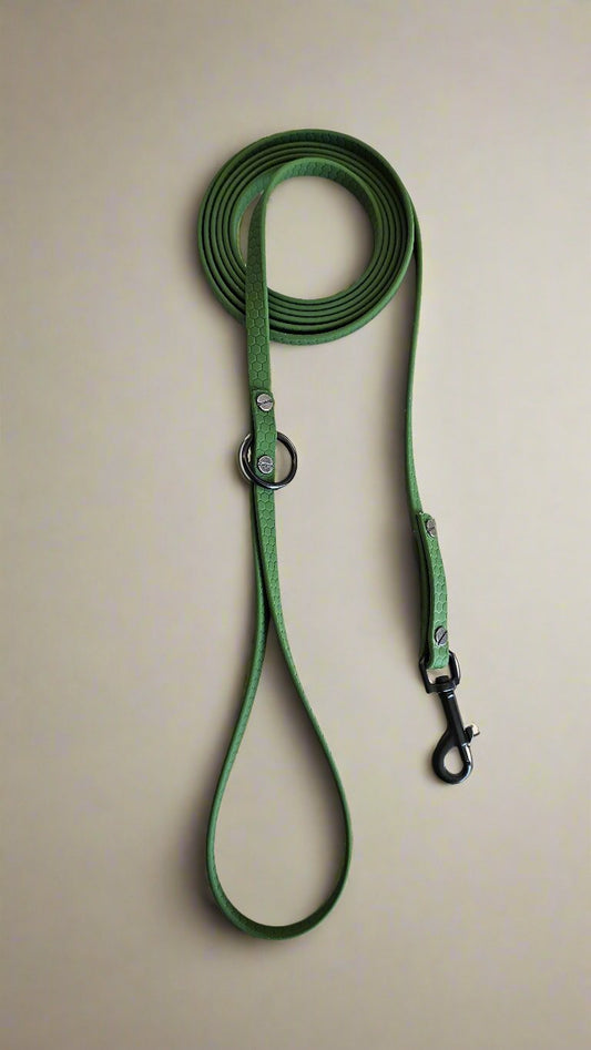 Pavadėlis mažoms veislėms