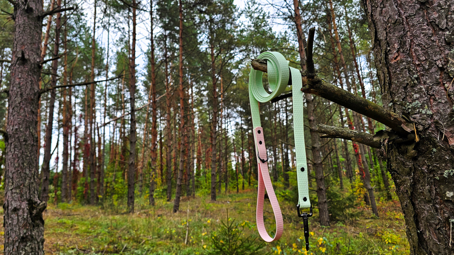 DOUBLE COLOR pavadėlis