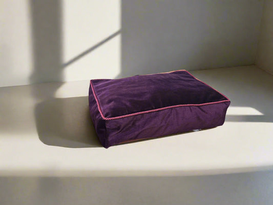 CLASSIC PREMIUM S dydis (Violetinis)