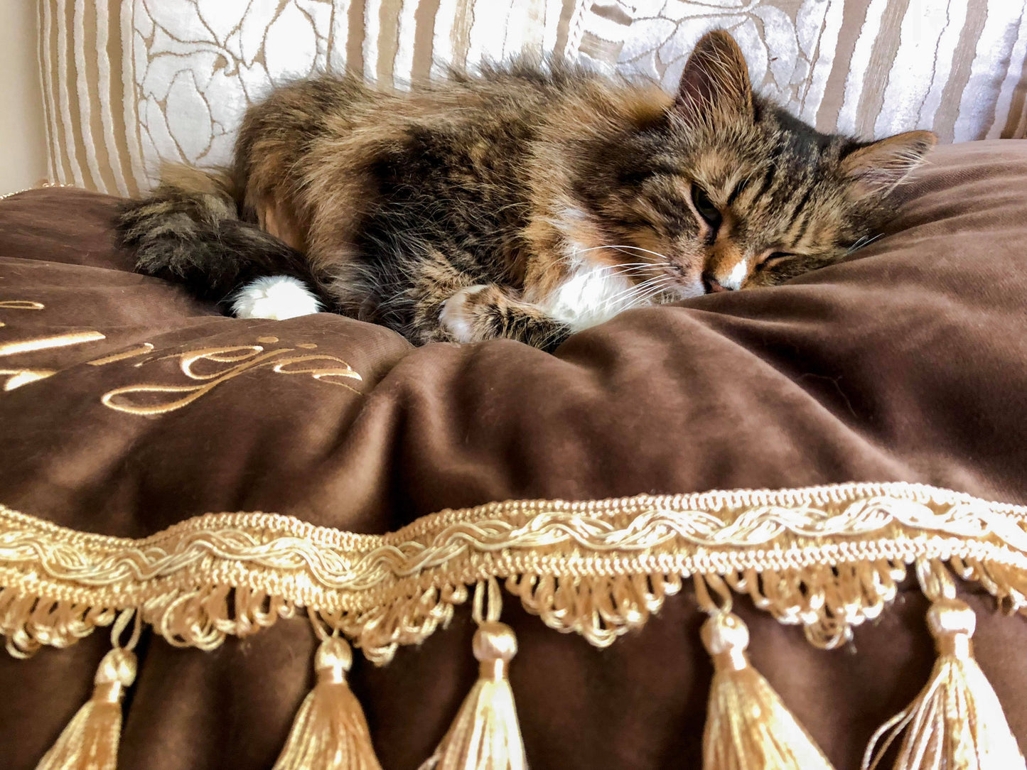 Classic Luxury Guolis