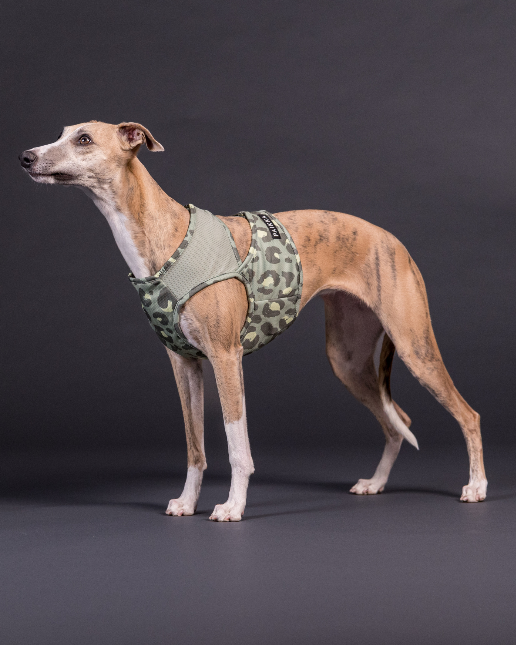 PAIKKA Cool Vest Green Leo - XXS