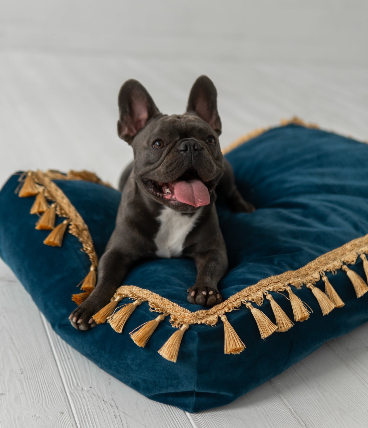 Classic Luxury Guolis