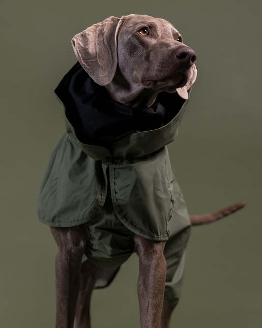 PAIKKA Reflective Shell Jacket Green - 20