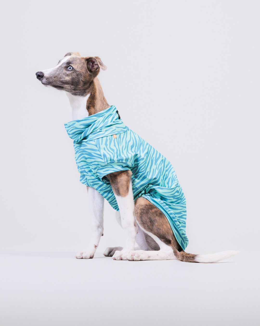 PAIKKA UV & Bug Shirt Teal - 25
