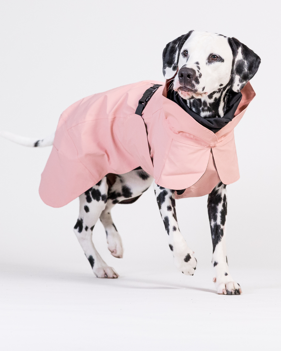 PAIKKA Visibility Raincoat Lite for Dogs Rose - 25