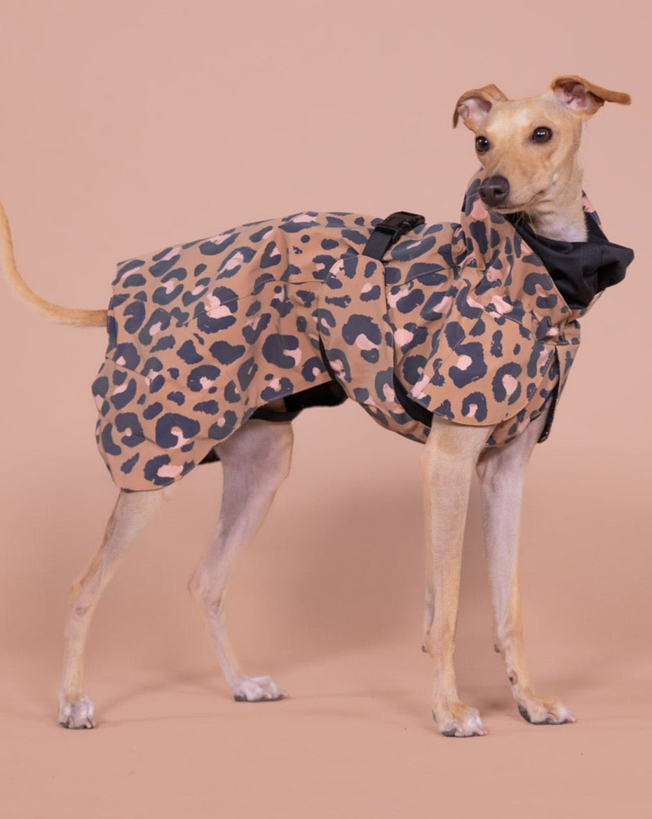 PAIKKA Visibility Raincoat Lite for Dogs Leo - 20
