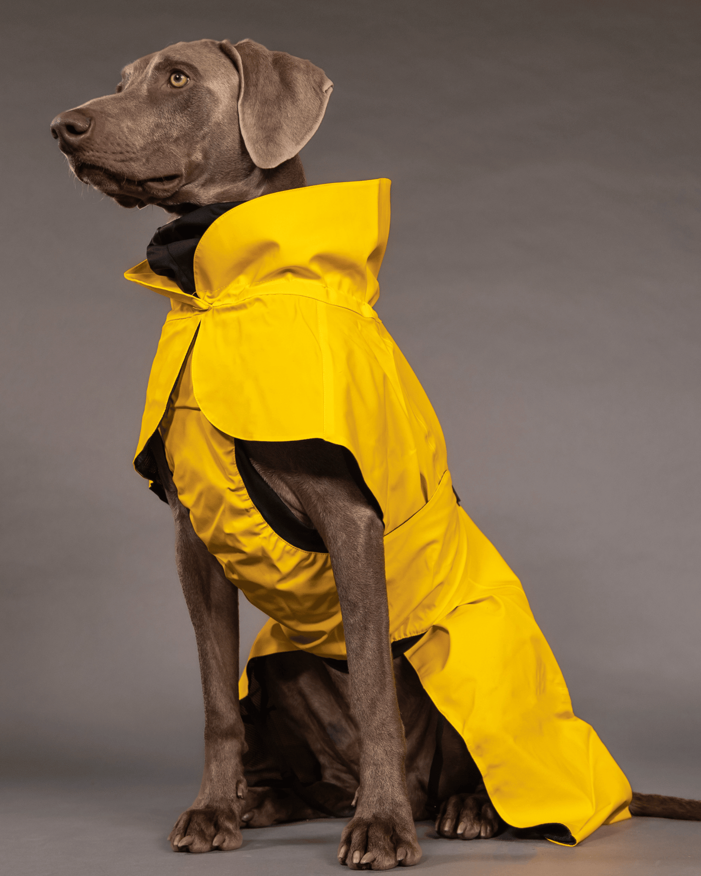 PAIKKA Visibility Raincoat Lite for Dogs Yellow - 20