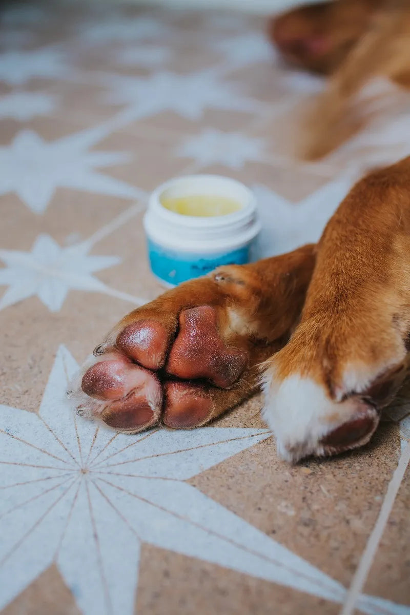 Platinum Skin Care balzamas odai šunims ir katėms