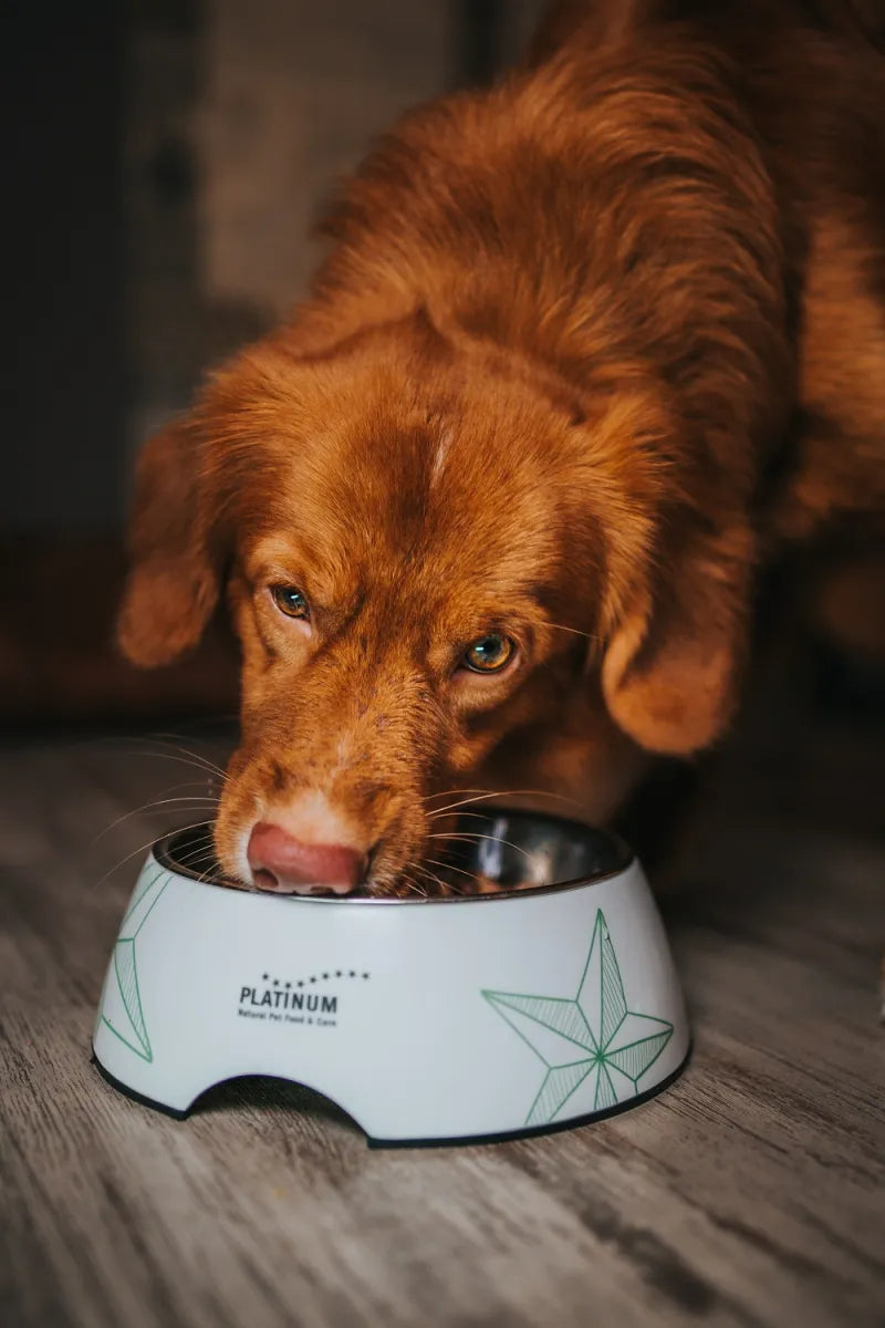 Platinum melamino dubenėlis