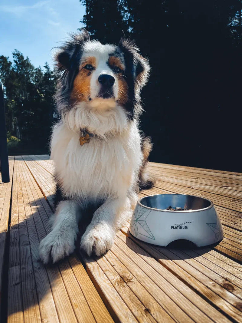 Platinum melamino dubenėlis