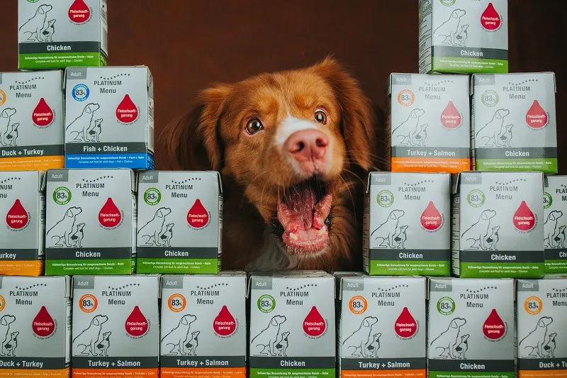 Platinum paštetas Puppy su vištiena jauniems šunims