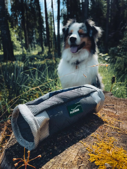 Platinum skanėstų dėklas treniruotėms