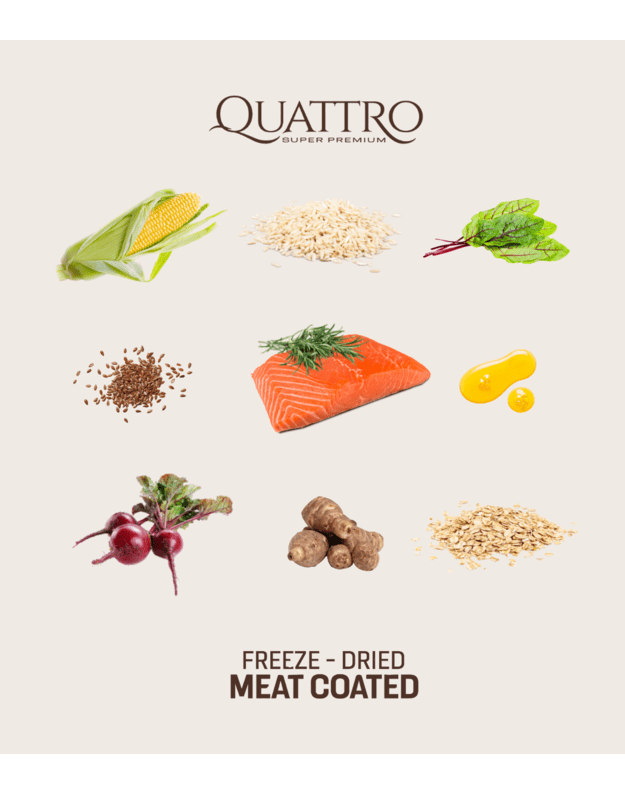 QUATTRO Extra Salmon su lašiša sausas šunų pašaras