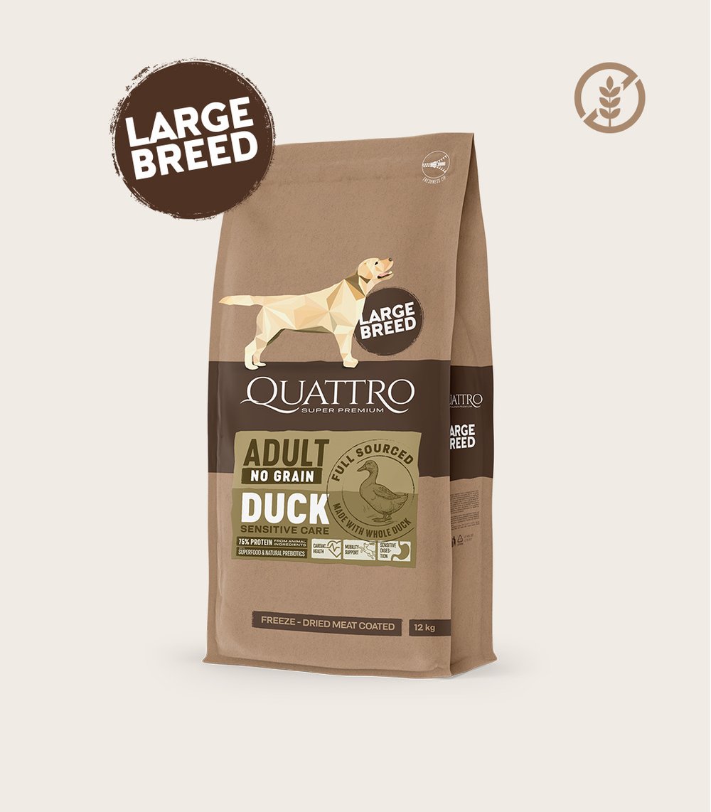 QUATTRO begrūdis didelių veislių suaugusių šunų pašaras su antiena