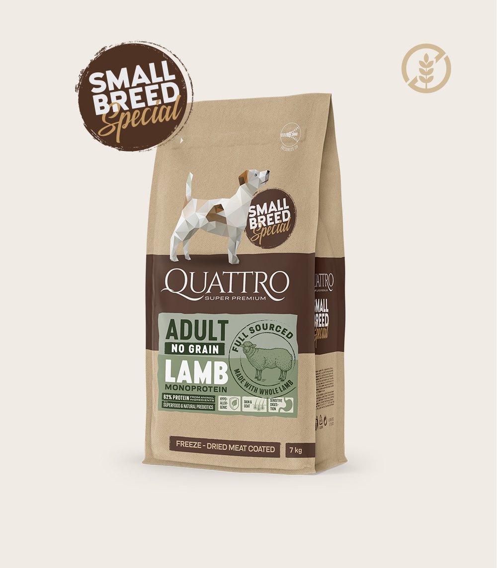 Quattro small breed adult sausas begrūdis maistas su ėriena