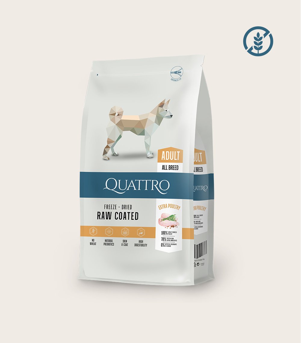 QUATTRO Extra Poultry su paukštiena sausas šunų pašaras