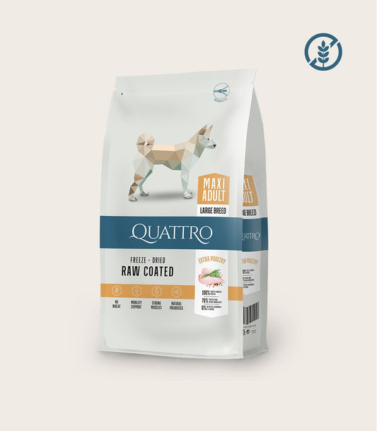 QUATTRO Maxi Adult su paukštiena sausas didelių veislių šunų pašaras