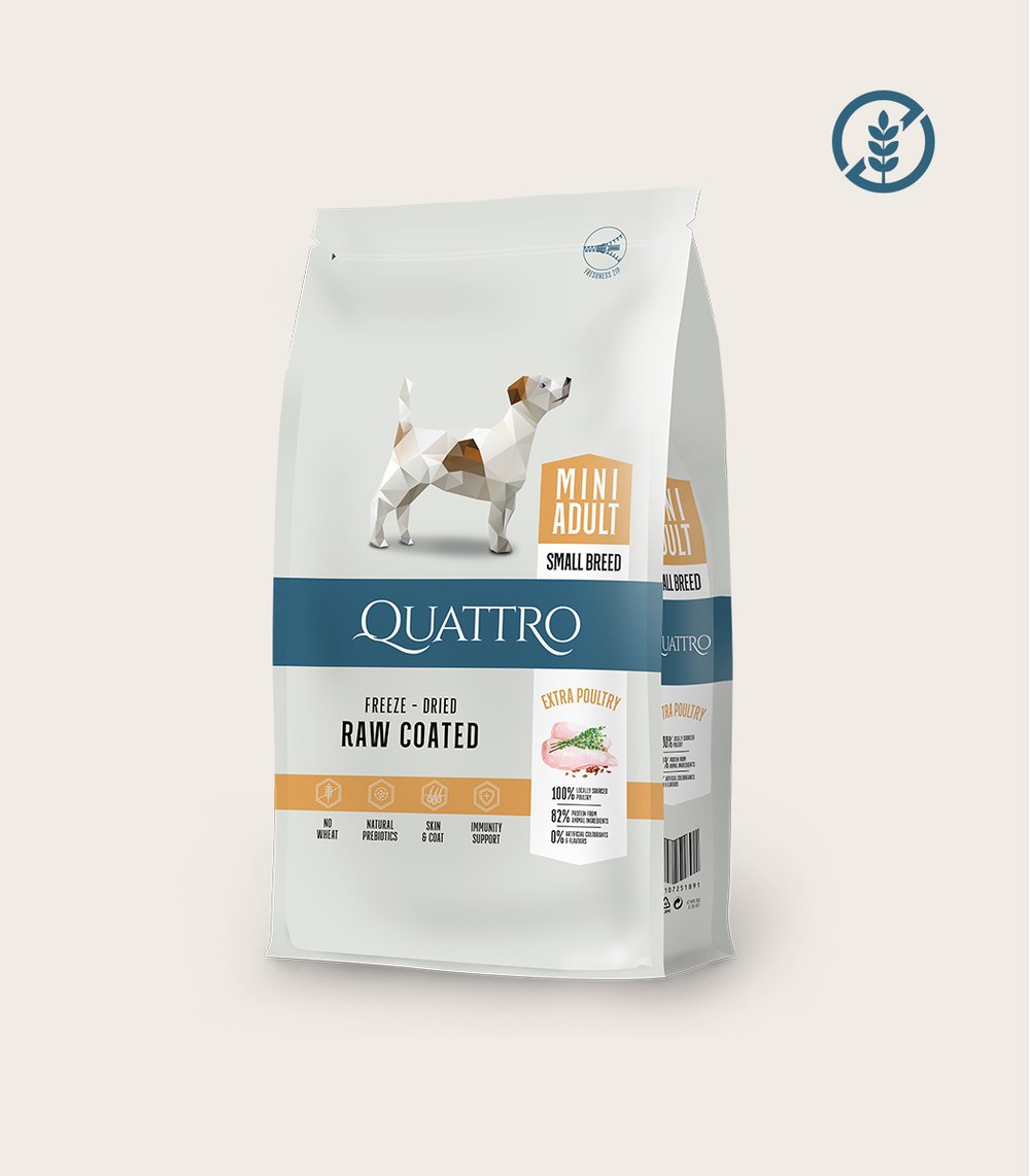QUATTRO Mini Adult su paukštiena sausas mažų veislių šunų pašaras