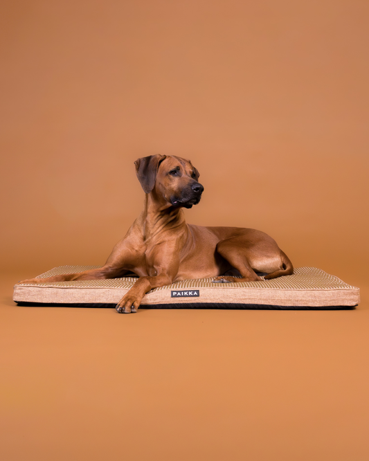 PAIKKA Cooling Orthopedic Mattress Taupe - 60 x 45