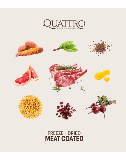 QUATTRO small breed adult begrūdis maistas su ėriena