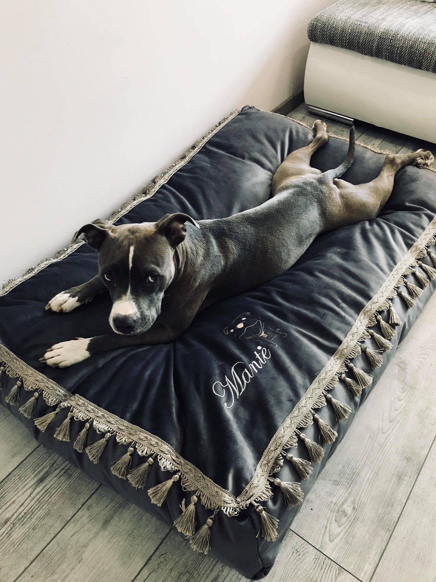 Classic Luxury Guolis