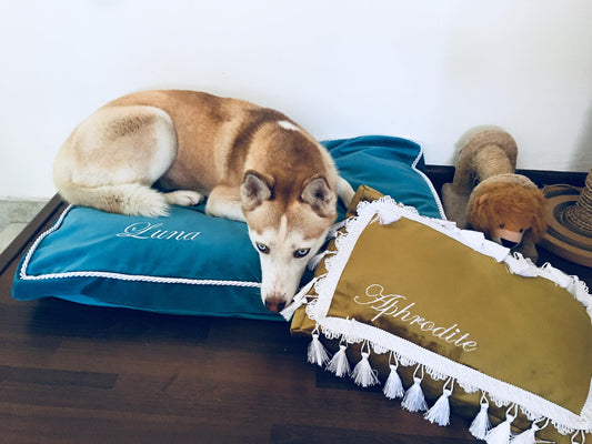 Vardo ant guoliuko siuvinėjimas