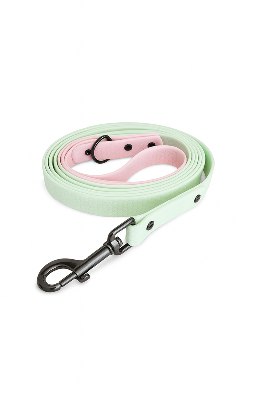 DOUBLE COLOR pavadėlis