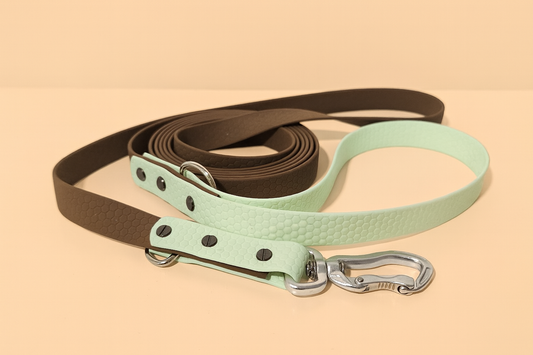 Extra Strong Autumn pavadėlis