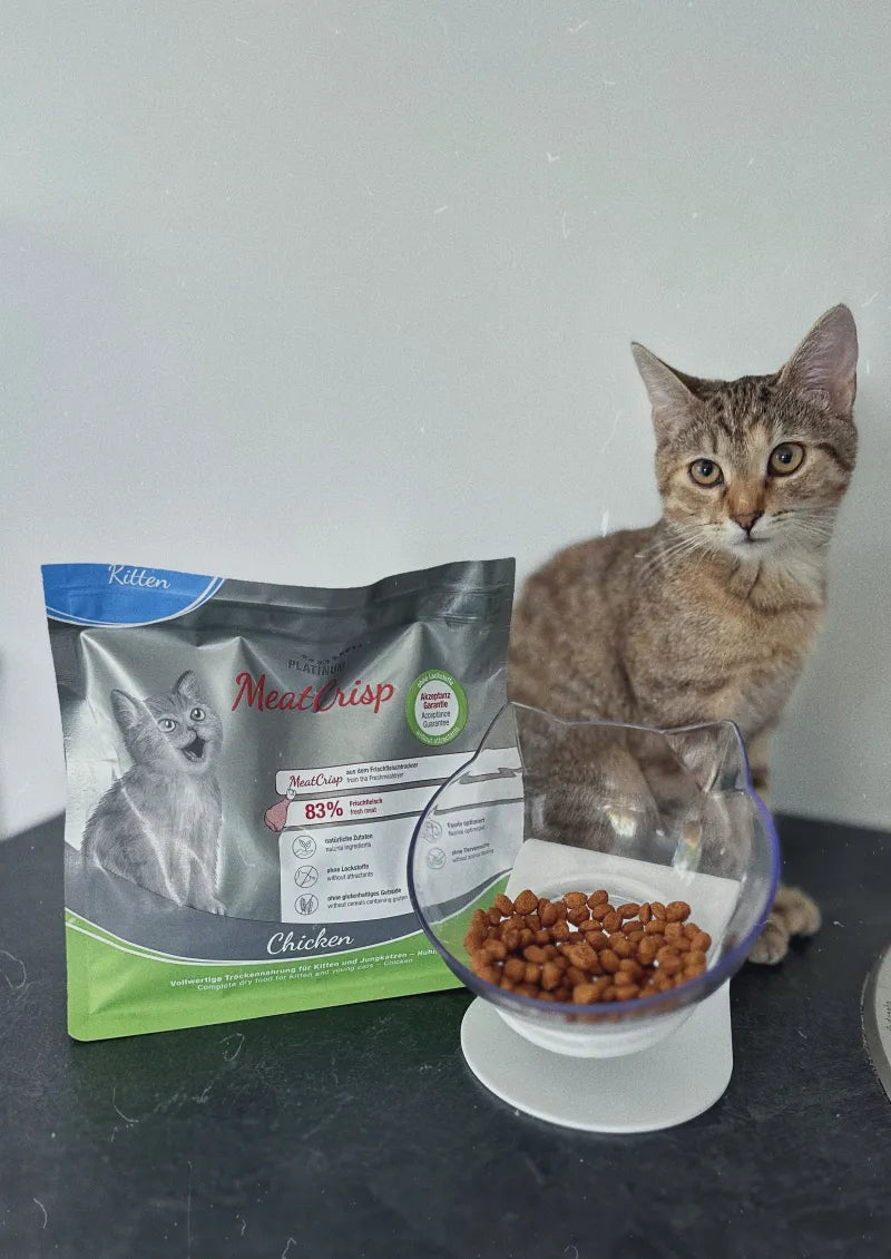 Platinum MeatCrisp Chicken subalansuotas visavertis sausas pašaras kačiukams 2