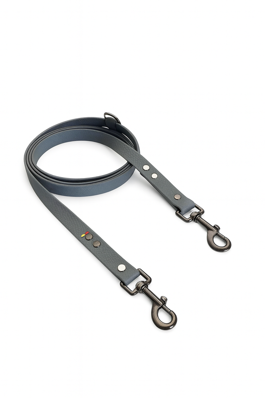 Multifunkcinis pavadėlis 20 mm pločio