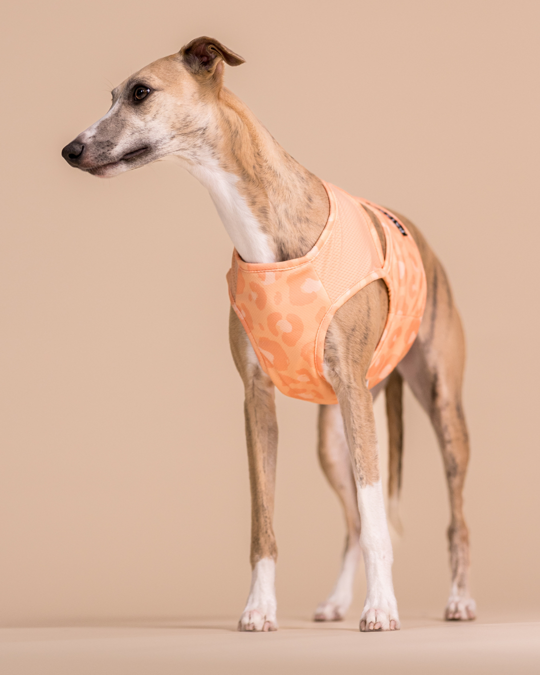 PAIKKA Cool Vest Peach - XXS