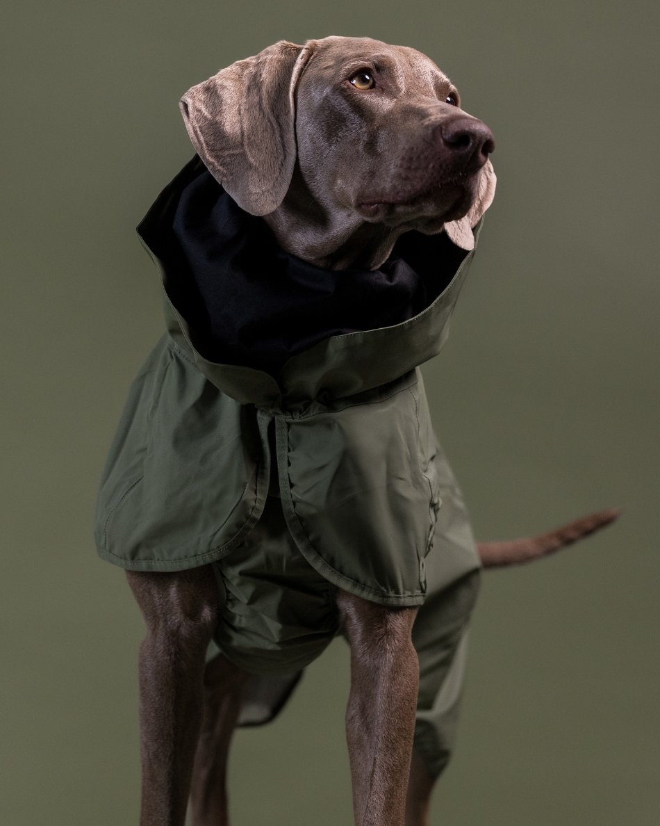 PAIKKA Reflective Shell Jacket Green