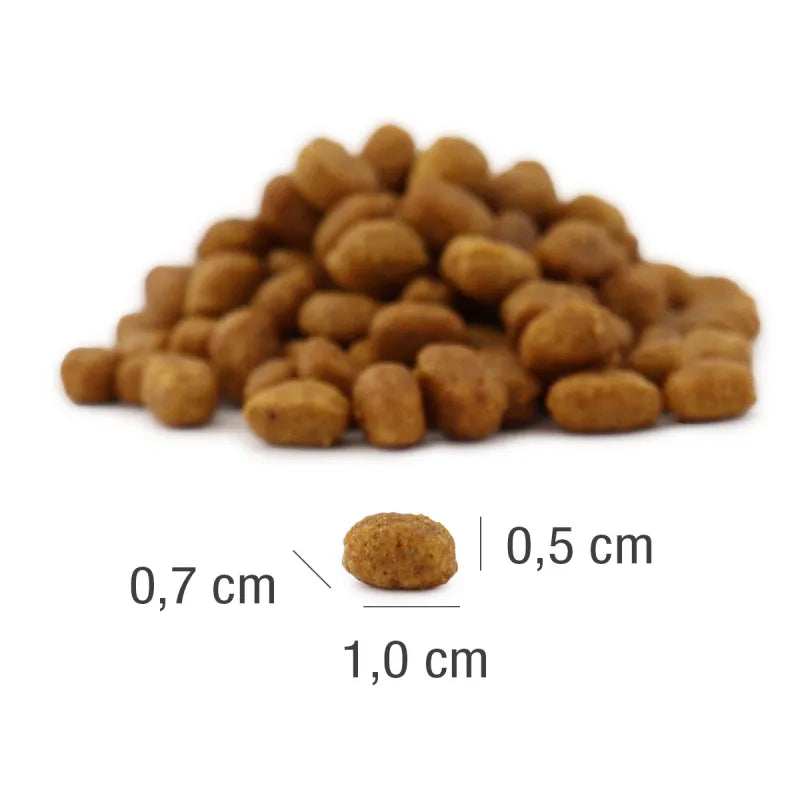 Platinum MeatCrisp sausas pašaras suaugusioms katėms su žuvimi 3