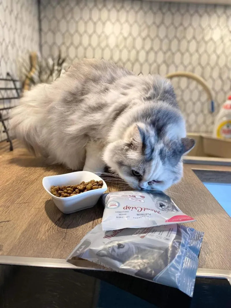 Platinum MeatCrisp sausas pašaras suaugusioms katėms su žuvimi 2