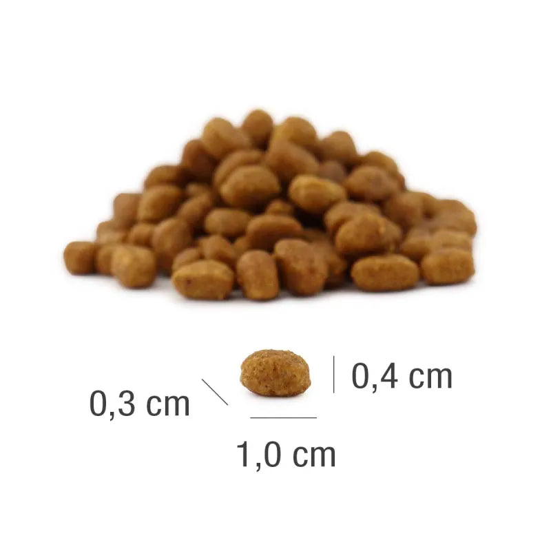 Platinum MeatCrisp Chicken subalansuotas visavertis sausas pašaras kačiukams 3