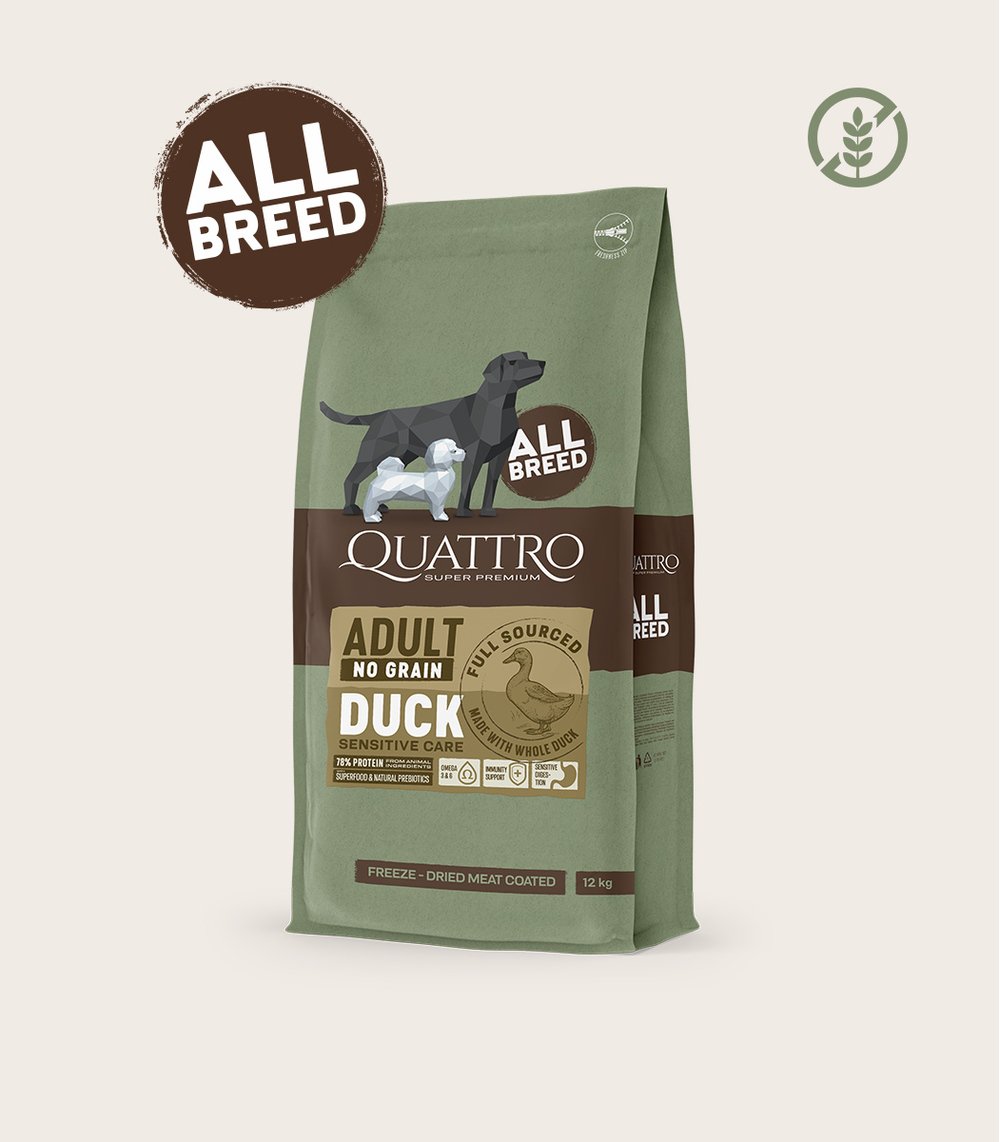 QUATTRO begrūdis visų veislių suaugusių šunų pašaras su antiena