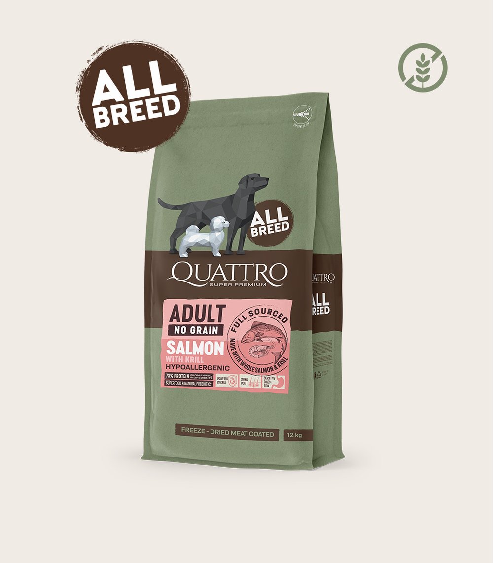 Quattro begrūdis visų veislių suaugusių šunų pašaras su lašiša ir kriliu