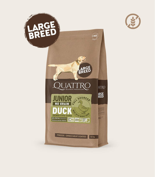 QUATTRO begrūdis didelių veislių jaunų šunų pašaras su antiena