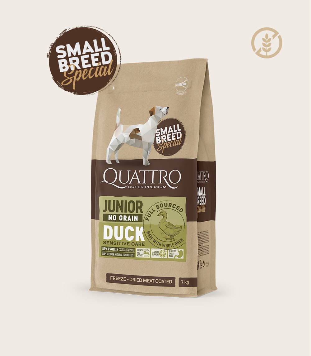 Quattro Small breed Junior sausas begrūdis maistas su antiena