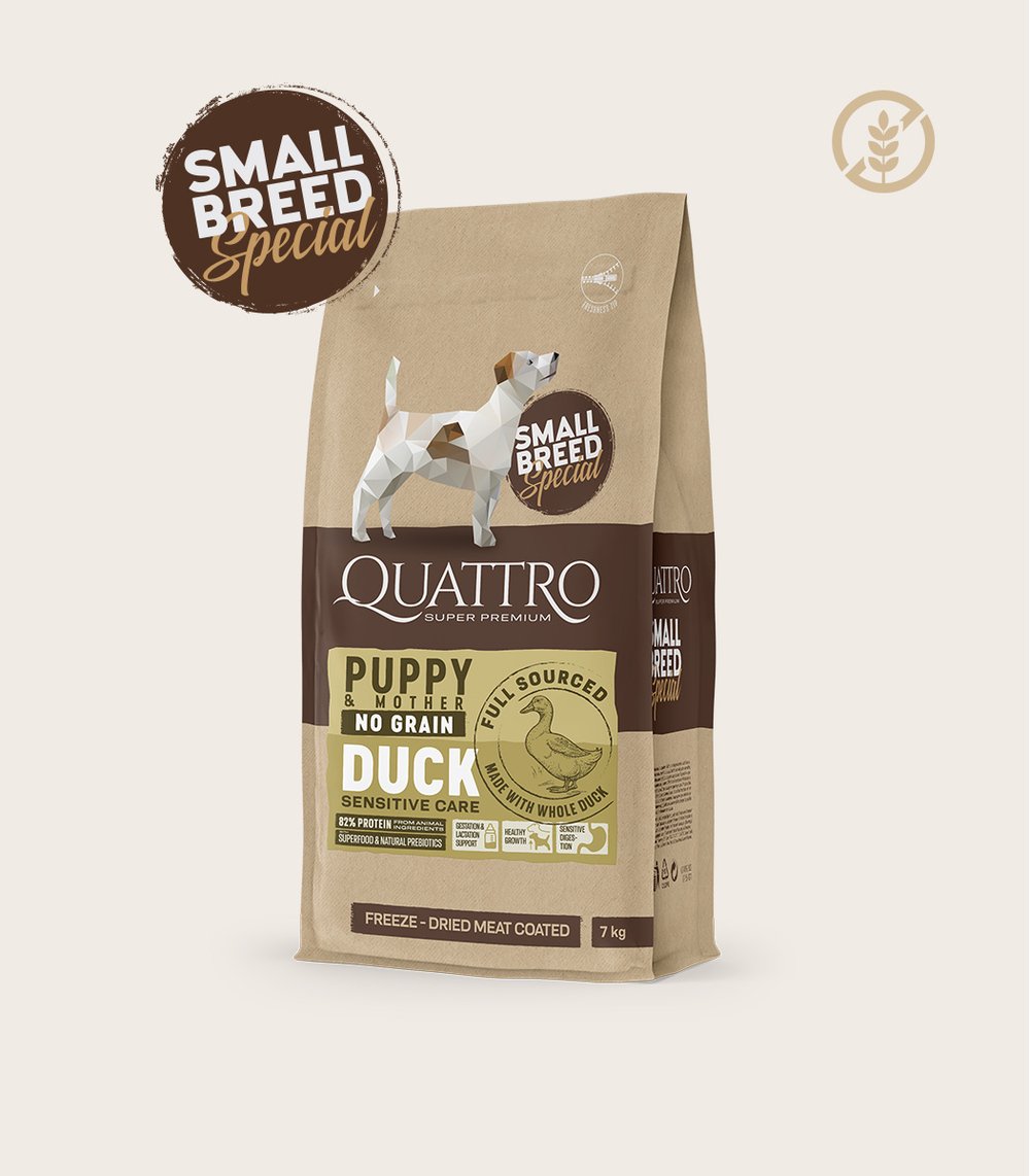 QUATTRO Small breed Puppy & Mother care sausas begrūdis maistas su antiena
