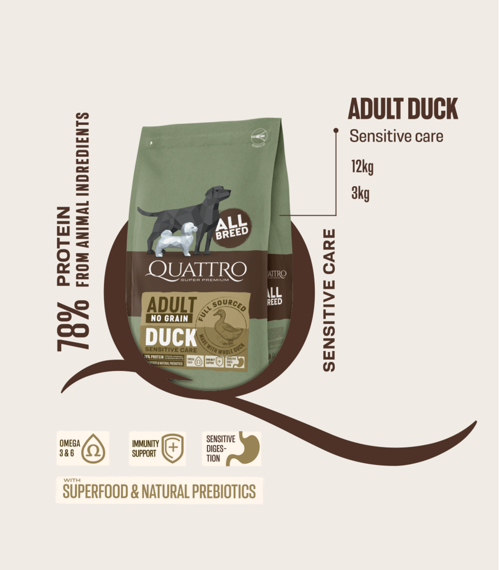 QUATTRO begrūdis visų veislių suaugusių šunų pašaras su antiena