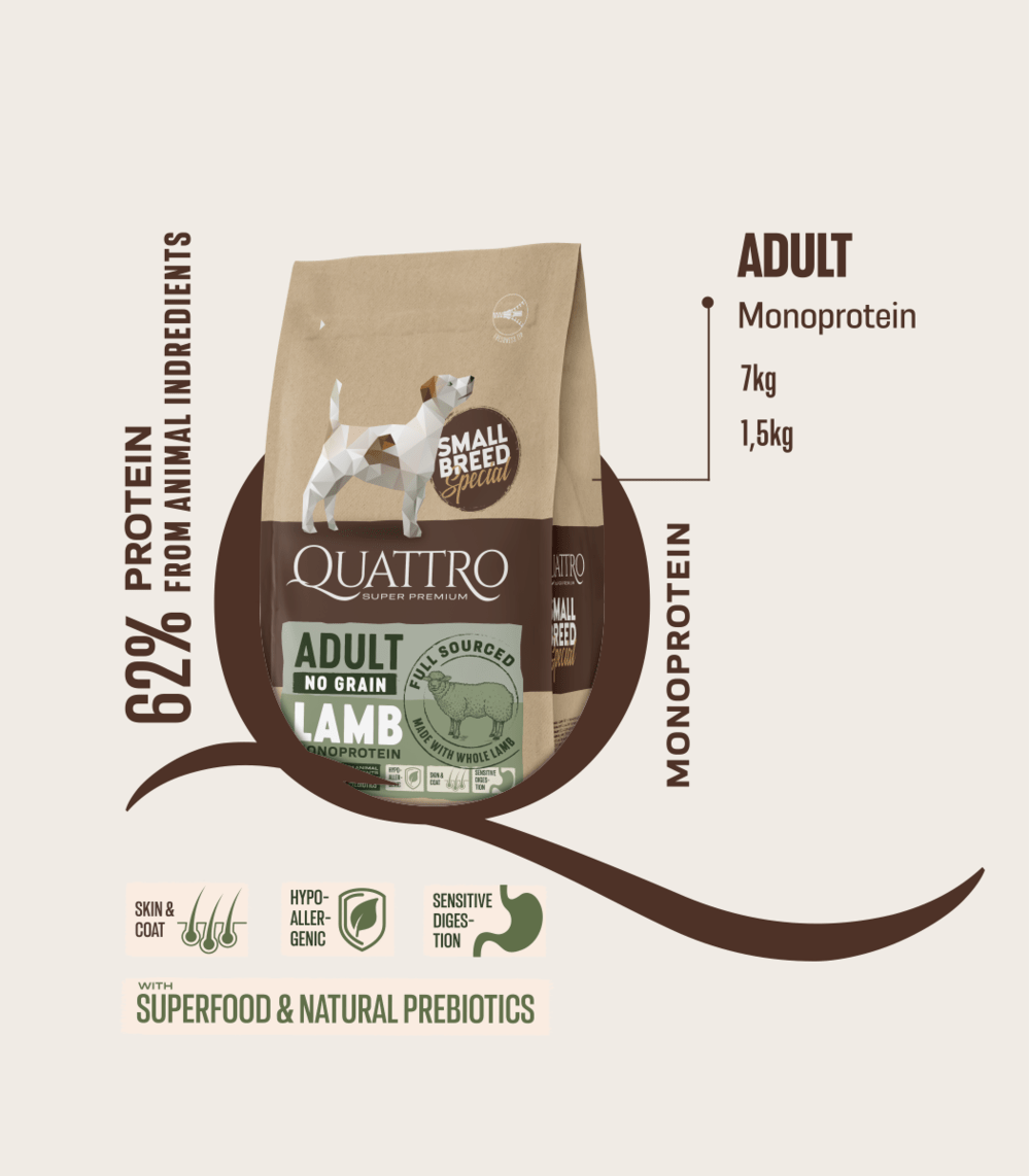 Quattro small breed adult sausas begrūdis maistas su ėriena