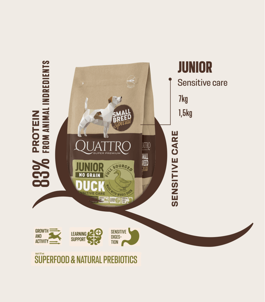 Quattro Small breed Junior sausas begrūdis maistas su antiena