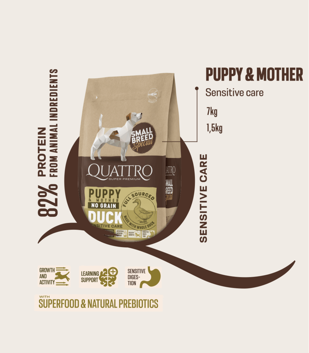 QUATTRO Small breed Puppy & Mother care sausas begrūdis maistas su antiena