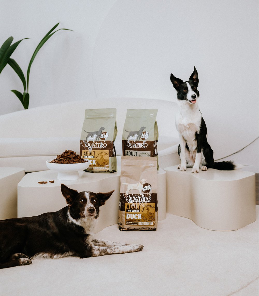 Quattro Extra Lamb su ėriena sausas šunų pašaras